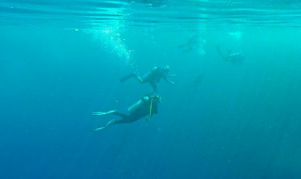 Diving, Uepi Island, Solomon Islands