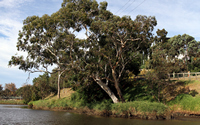 Yarra River, Melbourne, Victoria