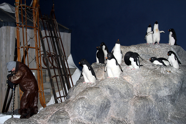 International Antarctic Centre, Christchurch NZ after the earthquakes