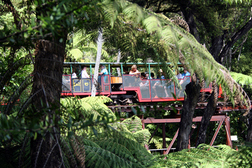 Driving Creek Railway, Coromandel, NZ.