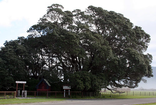 Te Araroa,  East Cape, NZ