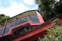Driving Creek Railway, Coromandel, NZ