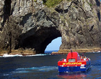 Excitor jet boat, Bay of Islands, NZ