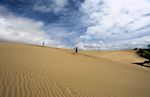 Te Paki giant sand dunes, Northland, NZ