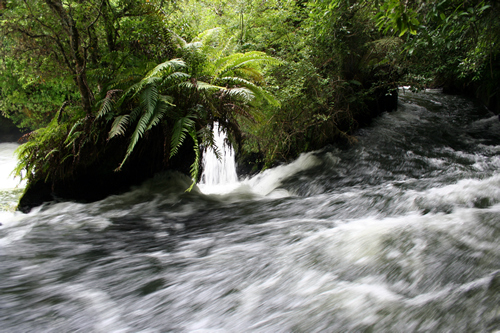 Okere Falls, Bay of Plenty, NZ