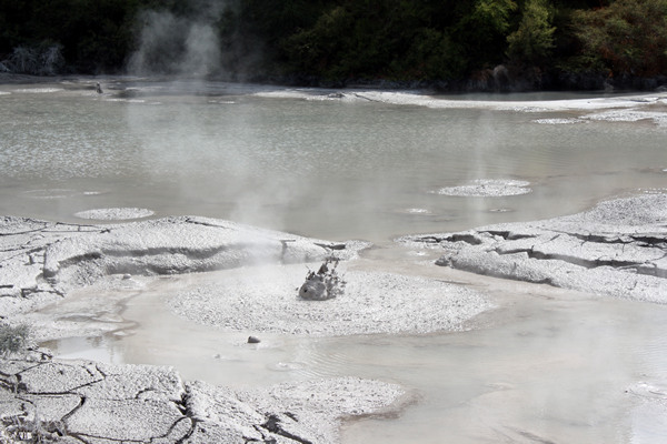 Boiling Mud, Waiotapu, Rotorua