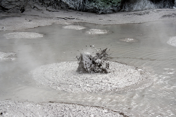 Boiling Mud, Waiotapu, Rotorua
